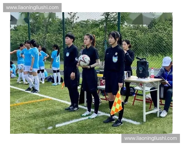 裁判会议深入分析与讨论赛场规则与判罚标准的实施与挑战